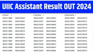 UIIC Assistant Result OUT 2024 Announced